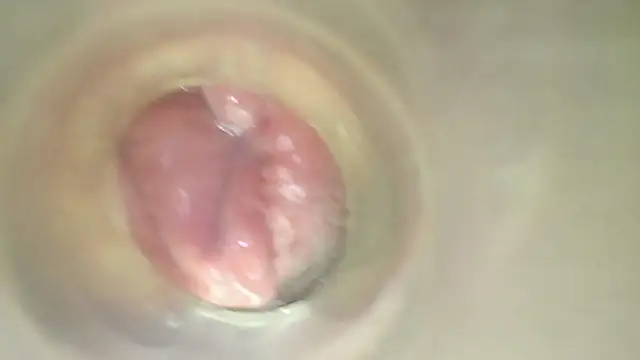 karol_stom webcam