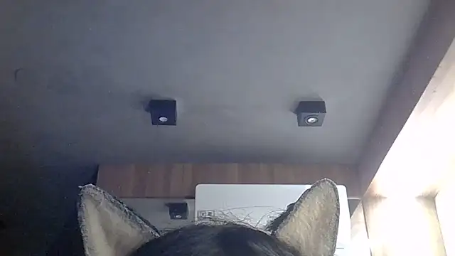 SkinnyKitten live cam