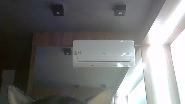 SkinnyKitten webcam