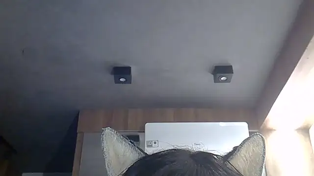 SkinnyKitten webcam