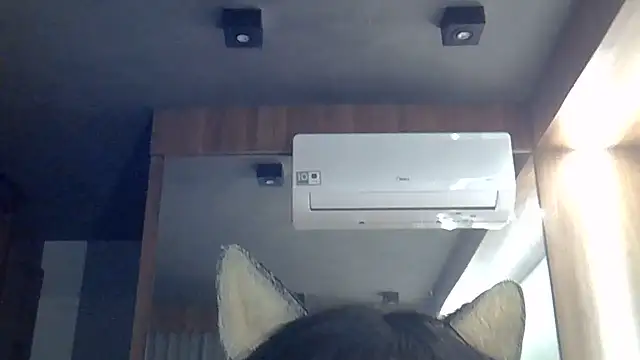 SkinnyKitten webcam