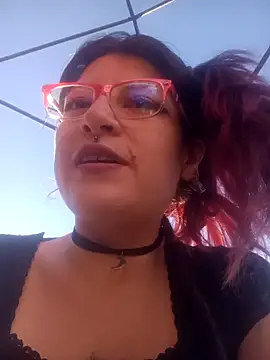 _Alaskamisa webcam