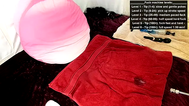 GamerGirlRoxyAndLee webcam