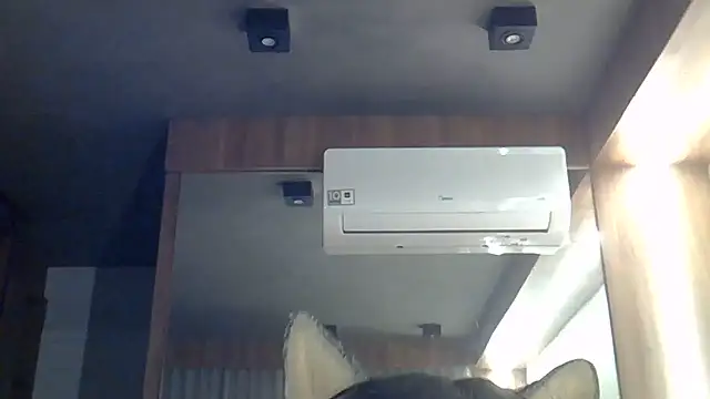 SkinnyKitten webcam
