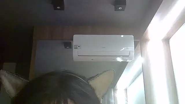SkinnyKitten webcam