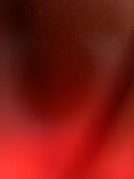 Dug_1x webcam