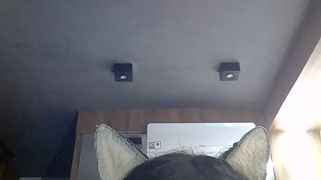 SkinnyKitten webcam