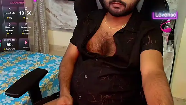 SilverShade3 webcam