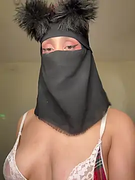 arabayla webcam