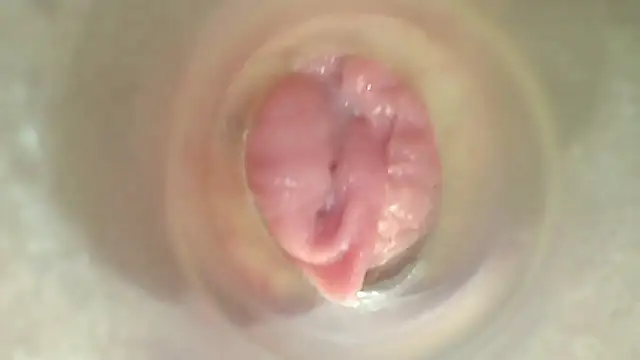 karol_stom live cam