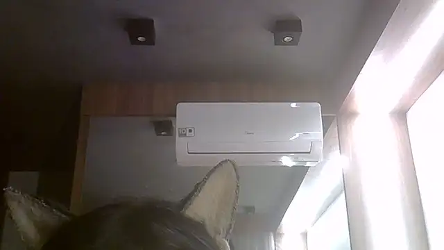 SkinnyKitten live cam