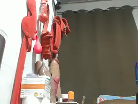 30cmHORSECOCKSELFSUCKER webcam