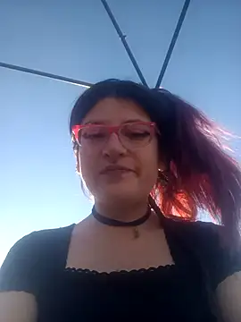 _Alaskamisa webcam
