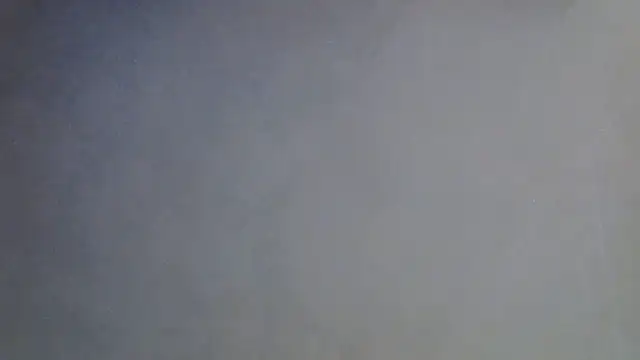 SkinnyKitten webcam