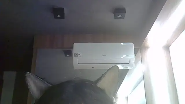 SkinnyKitten webcam