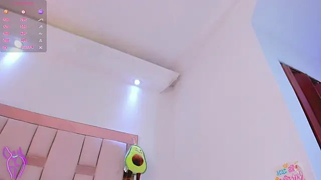 Alexandraholms webcam