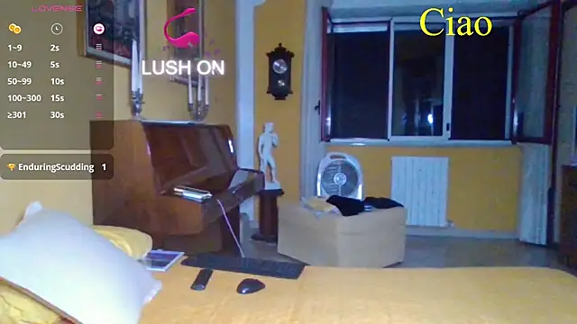lattediyak webcam