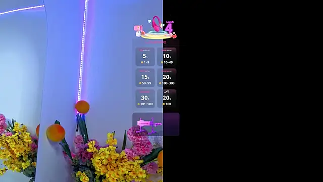 LittleSky__ webcam