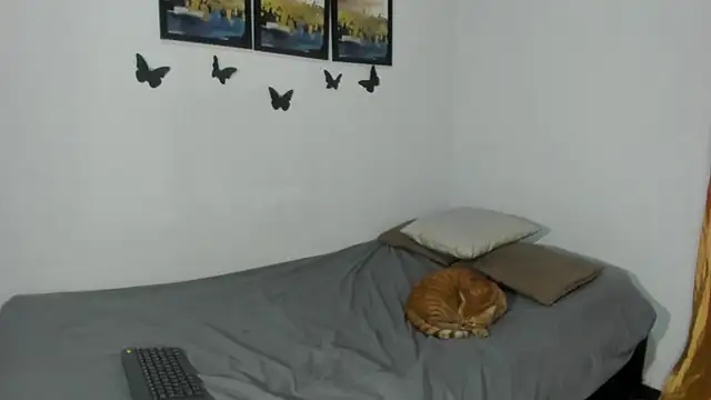 Vlad__night webcam