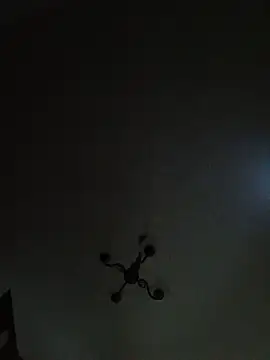 Amelia_3978 webcam