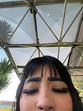 -Brittanny webcam