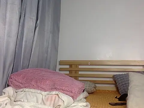 Tinydakota webcam