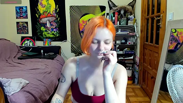 FoxFlame webcam