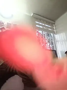 maynor_1998 webcam