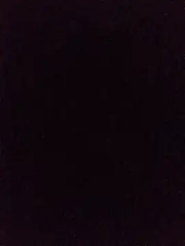 hairy_mannn webcam