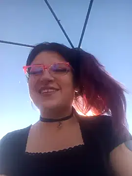 _Alaskamisa webcam
