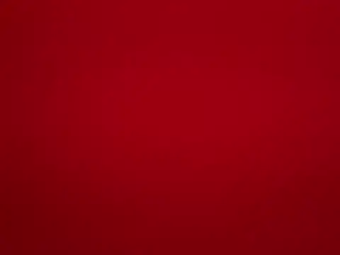 Fantastic_ruby webcam