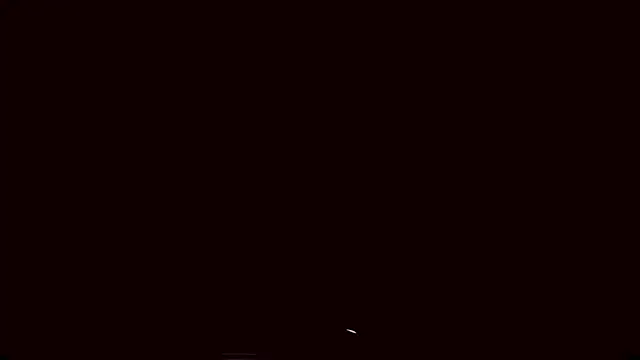 Lyricca webcam