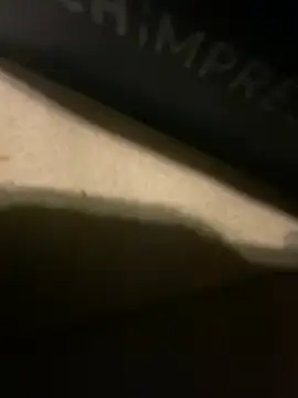 charactrzero webcam