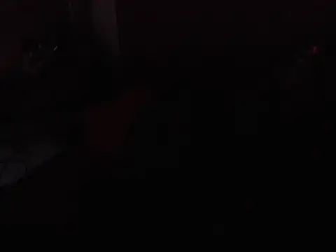 Blossom_lisa webcam