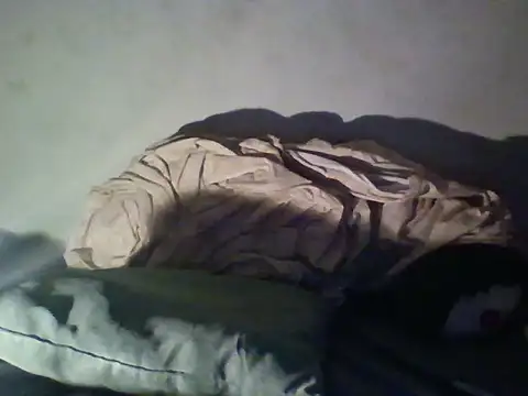 Gordo1206 webcam