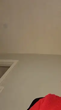AllLeggs webcam
