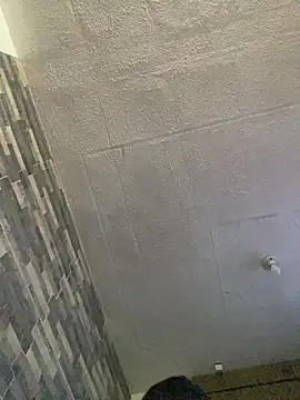 Abby-LS webcam
