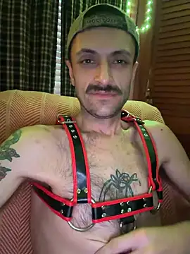 HarmoniousPhantasm3 webcam