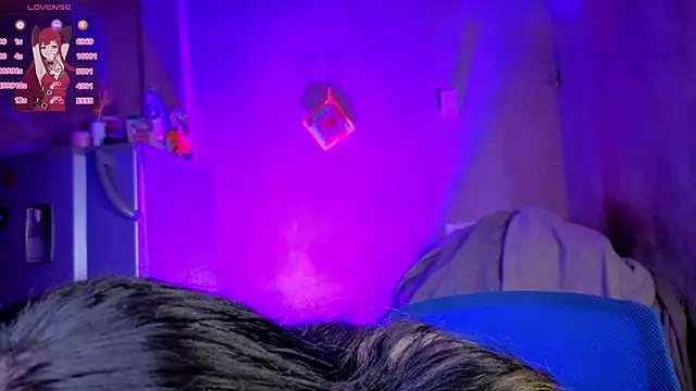zylla_storn webcam