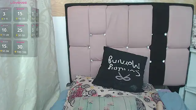 palmer_mIix webcam