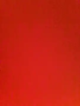 Cnutt310 webcam