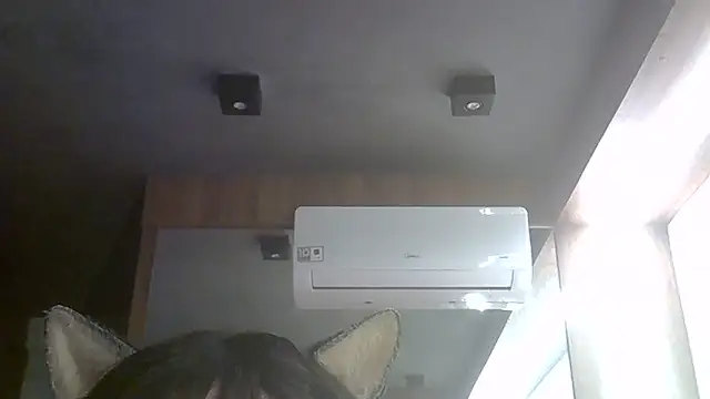 SkinnyKitten webcam