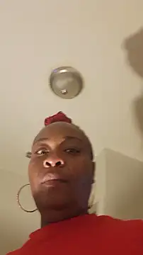 AllLeggs webcam