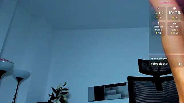 KellySmitS webcam