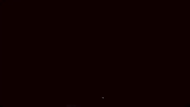 Lyricca webcam