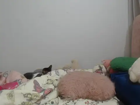 _Sweeteyes webcam