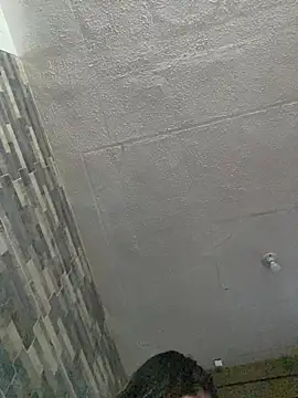 Abby-LS webcam