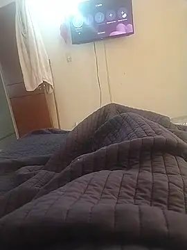 Camilorcr500 webcam
