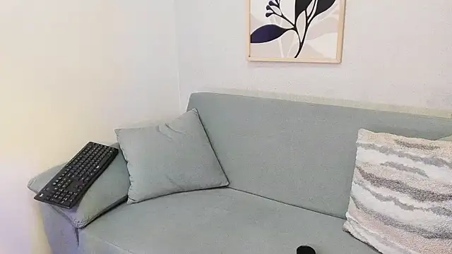 KassMonroe webcam