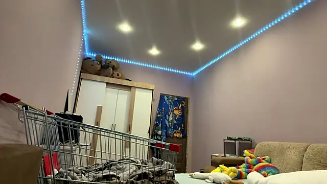 LinZavr webcam